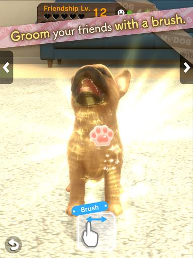 with My DOG screenshot 11