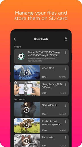 Video Downloader screenshot 3