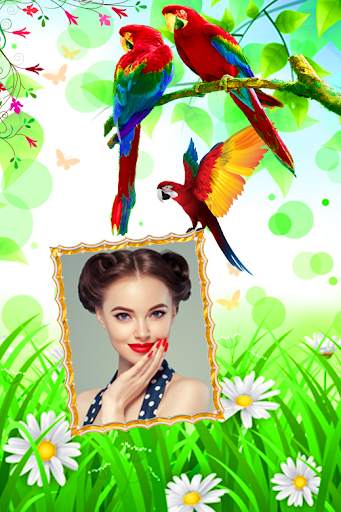 Love Bird Photo Frames screenshot 7