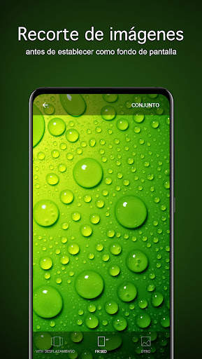 Fondos de pantalla verdes 4K screenshot 4