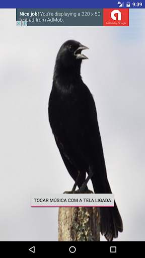 Black Bird screenshot 2