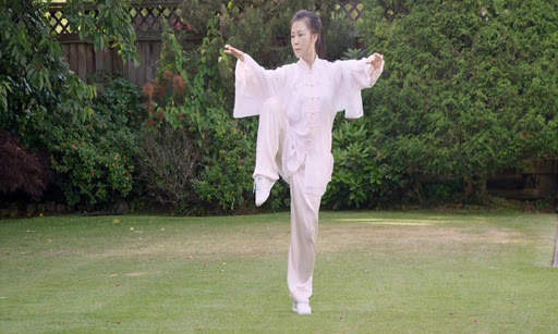 Tai Chi for Beginners - 48 Form (YMAA) screenshot 13