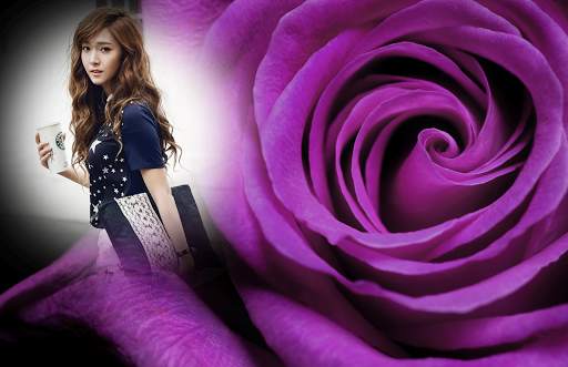 Macro Rose Photo Frame скриншот 1