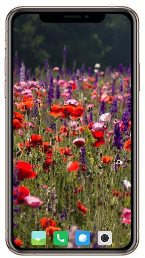 Spring  Wallpaper HD screenshot 2