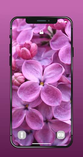 ✿ HD Flowers Wallpaper - 4K Beautiful Flowers screenshot 9