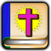 The Amplified Bible 19
