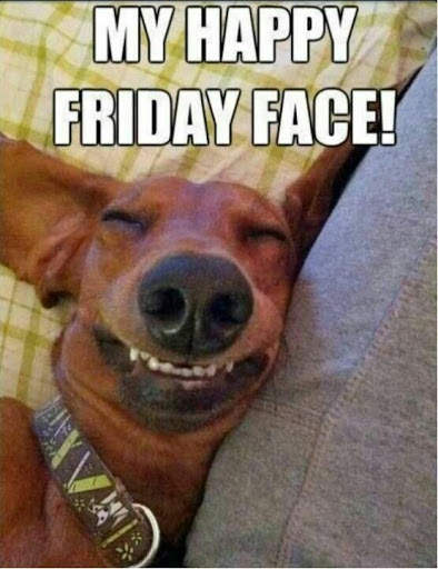 Funny Animal Meme screenshot 2