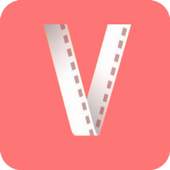 Vidzon 1.0