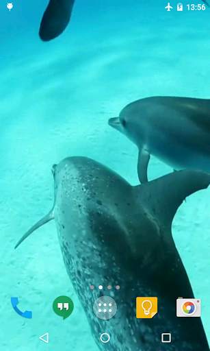Dolphins HD Live Wallpaper screenshot 2