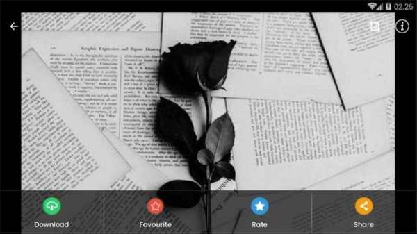 White Aesthetic Wallpaper HD screenshot 11