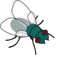 Clear Fruit icon