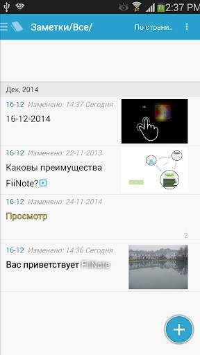 FiiWrite скриншот 6