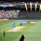 Cricket Worldcup T20 icon
