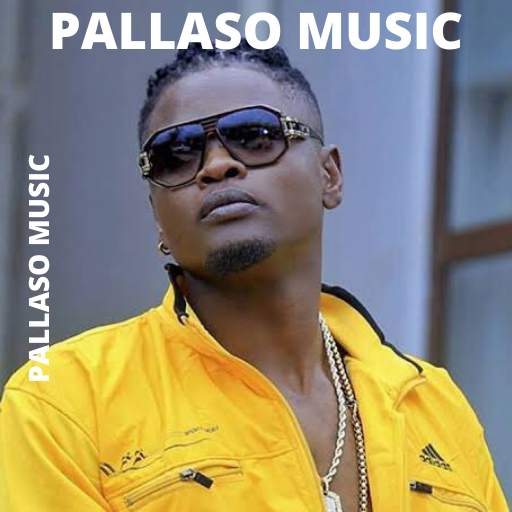 Pallaso Music App 10