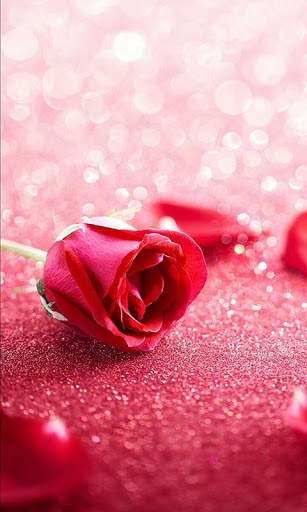 Romantic Images I Love You Roses And Flowers Gif screenshot 6