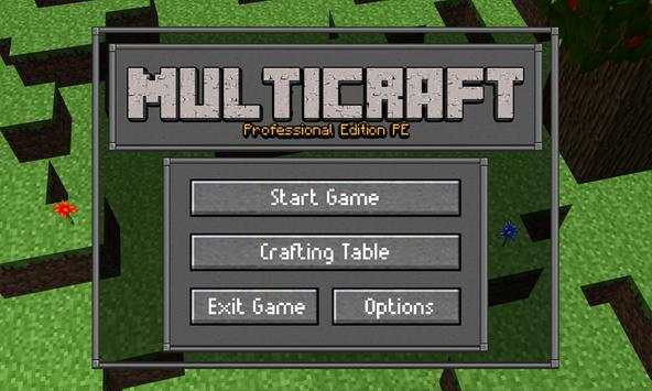 Multicraft Pro Edition PE screenshot 3
