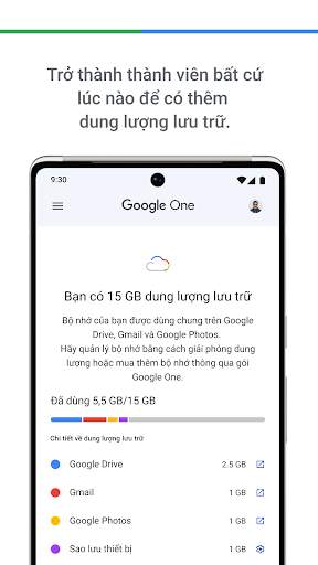 Google One screenshot 3