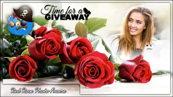 Red Rose Photo Frames screenshot 2