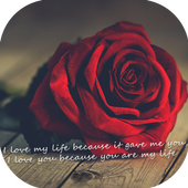 Love Video Status أيقونة