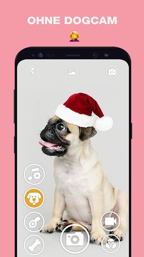 DogCam - Dog Selfie Filters and Camera screenshot 1