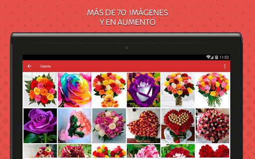 Rosas de Colores para Enamorar 8 تصوير الشاشة