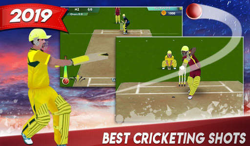 World Cricket Fever 2019 screenshot 4