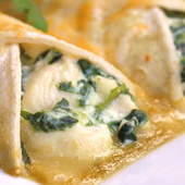 Vegetarian Recipes icon