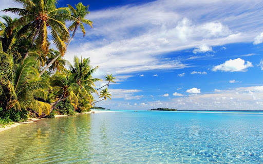 Tropical Wallpaper screenshot 4