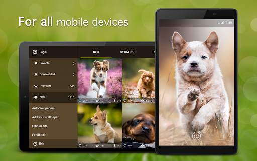 Puppy Wallpapers 4K screenshot 5
