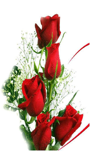 Beautiful All Flowers Photo Pics Free screenshot 4