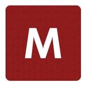 Metric icon