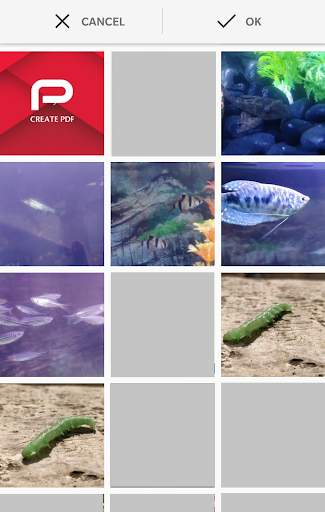 Create PDF screenshot 5