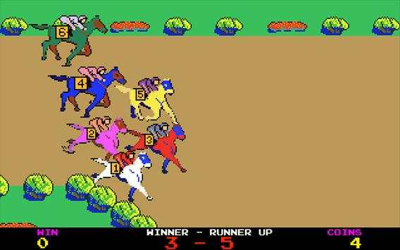 Horse Racing screenshot 15