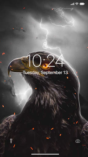 Eagle Wallpaper screenshot 4