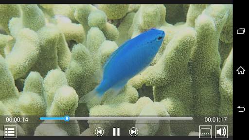 Logitec DVD Player screenshot 2