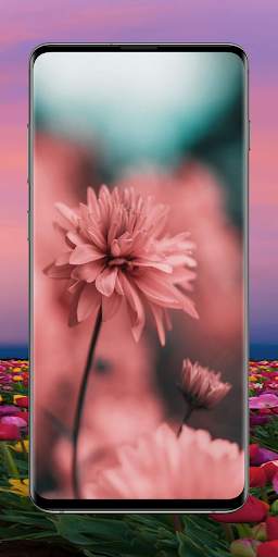 Flower Wallpapers screenshot 5