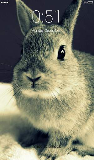 Rabbit run Lock Screen Wallpaper 2 تصوير الشاشة