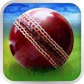 Cricket WorldCup Fever 15.0