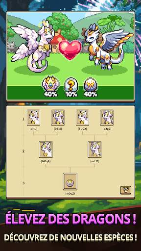 Dragon Village Collection screenshot 3