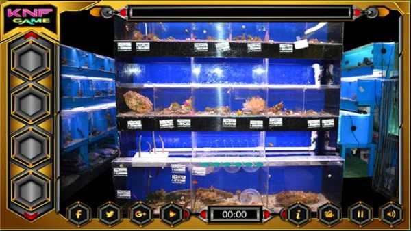 Can You Escape From Fish Shop screenshot 5