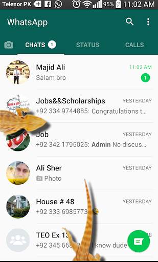 Lizard on social apps – funny prank 2018 screenshot 4