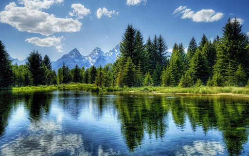 Nature Live Wallpapers screenshot 4