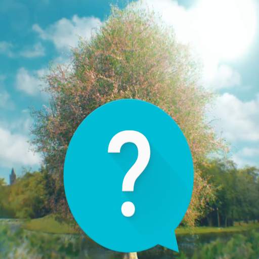 Bridgerton TV Show Unofficial Trivia 1.4