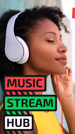 Music Stream Hub 1 تصوير الشاشة