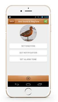 Bird Sound Song & Ringtone screenshot 3