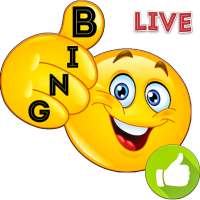 Bingo in Pictures :-) logo