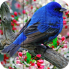 Puzzle - Birds icon
