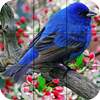 Puzzle - Birds 1.21