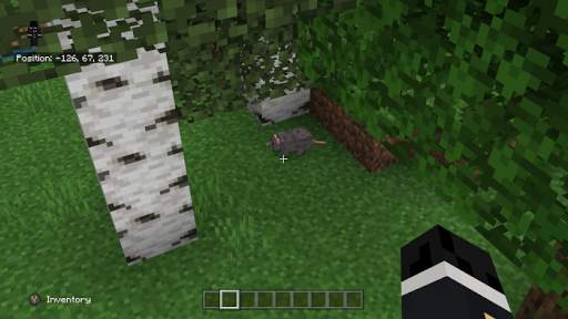 Pets Mod for MCPE screenshot 7