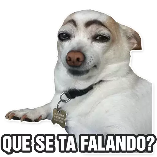 Figurinhas engraçadas para WhatsApp com frases 🤣 icon